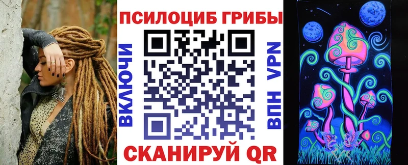 где купить наркотик  Тайга  blacksprut ONION  Галлюциногенные грибы Psilocybe 